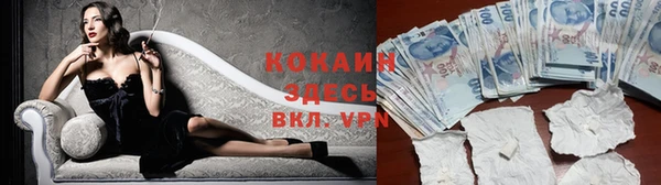спиды Вяземский