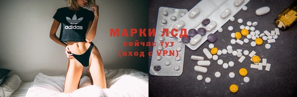 спиды Вяземский