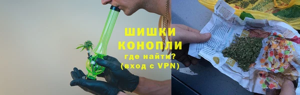 спиды Вяземский