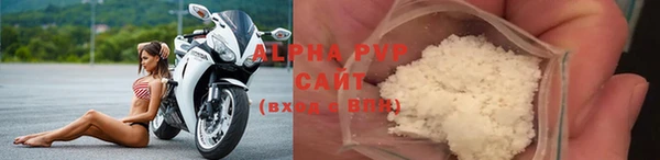 спиды Вяземский