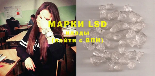 спиды Вяземский