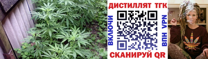 нарко площадка как зайти  Жиздра  Дистиллят ТГК THC oil 